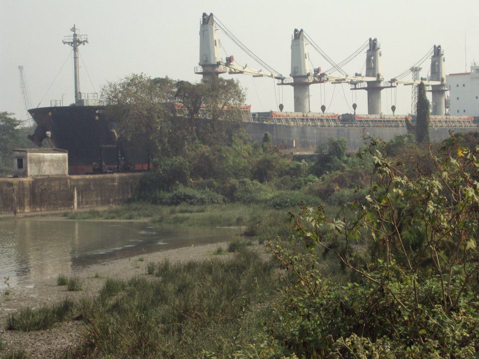 haldia dock