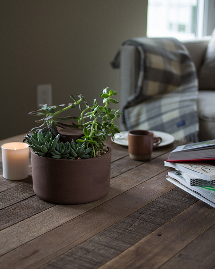 SelfWatering Terracotta Planter Poppytalk