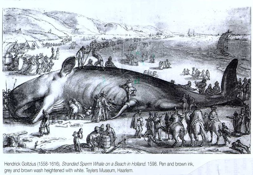 Enmarcado Castillo aterrador y collar de murciélagos volando-Acrílico Negro