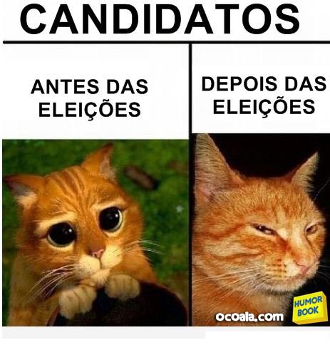 melhores imagens encontradas na internet através do marcador imagens