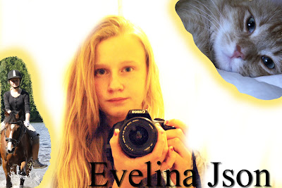 Evelina Json