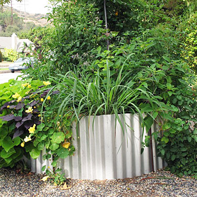 Garden Design: 7 edible garden design ideas