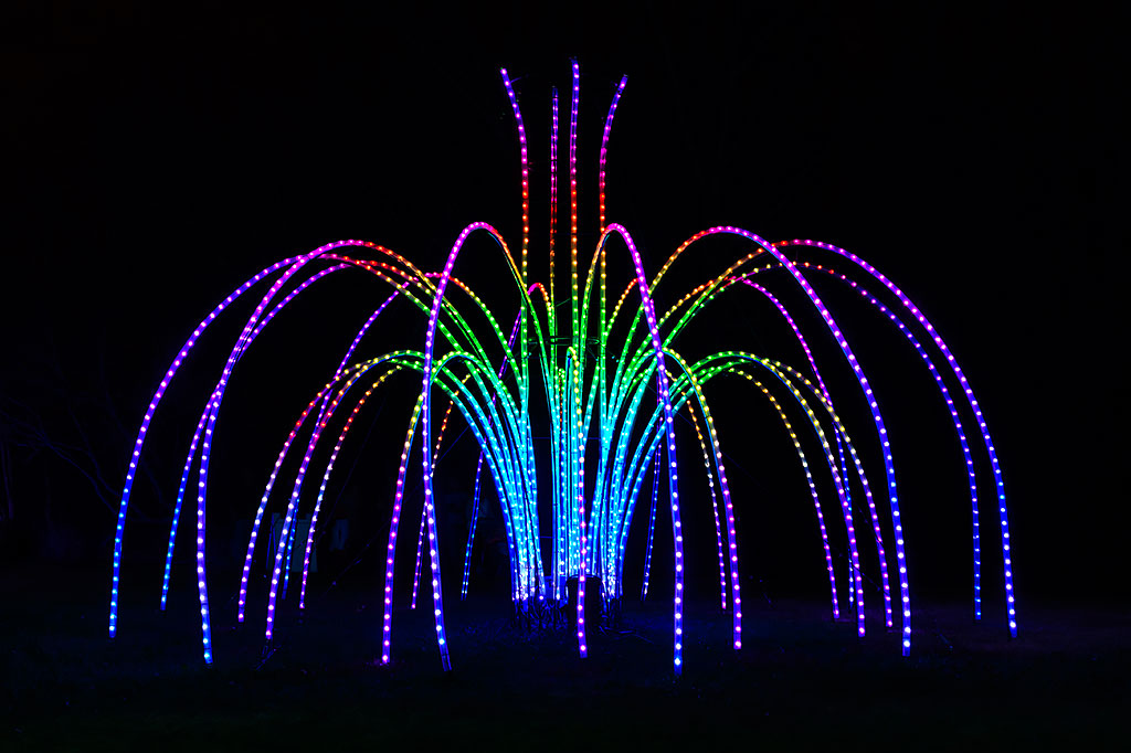 Fountains of Light at Winter Walk of Lights