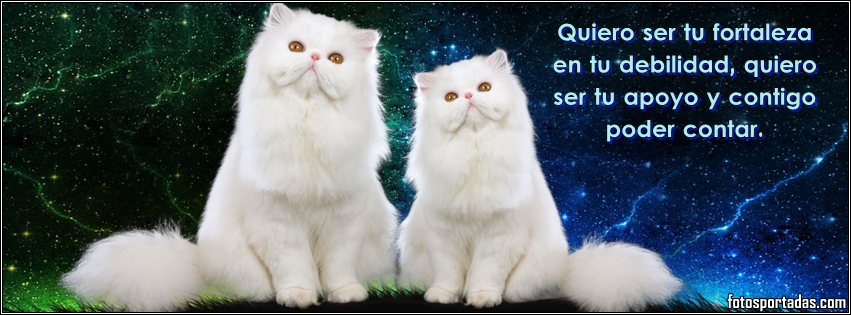 de facebook gratis fotos de portada para tu facebook con timeline para