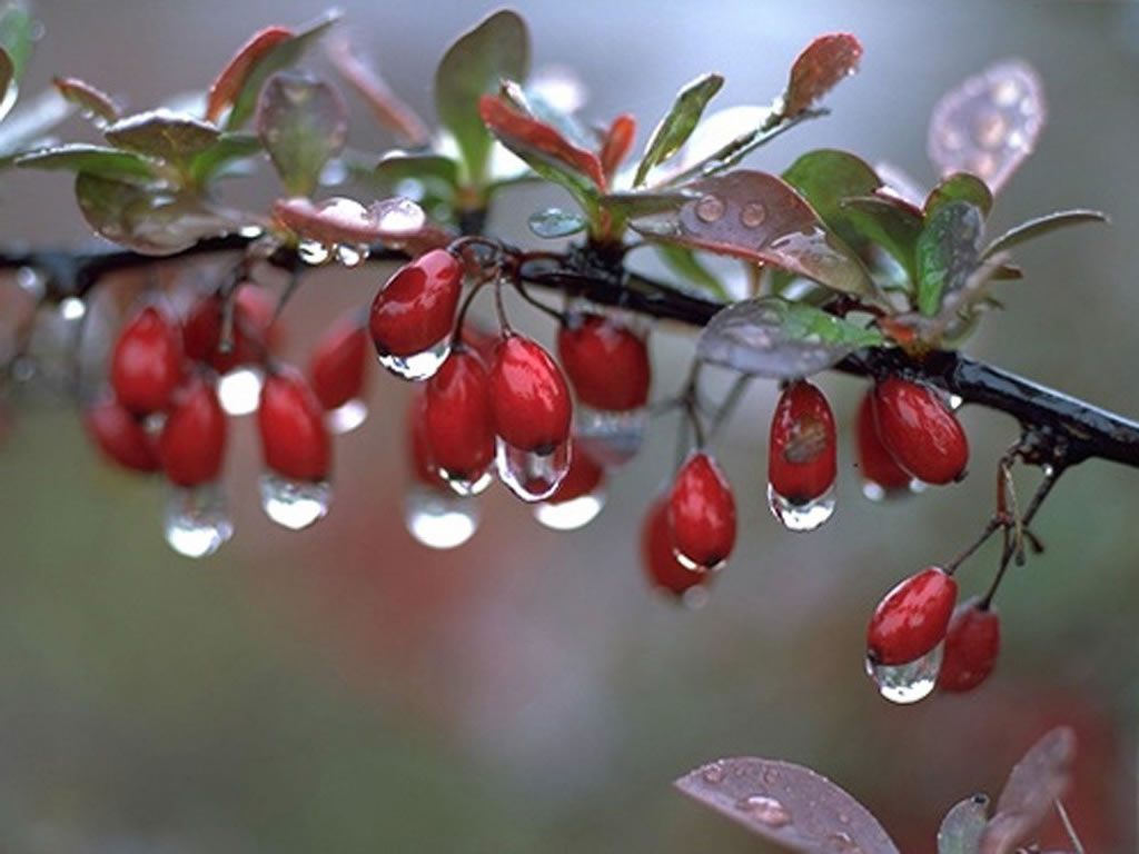 mauriac nous méritons toutes nos rencontres