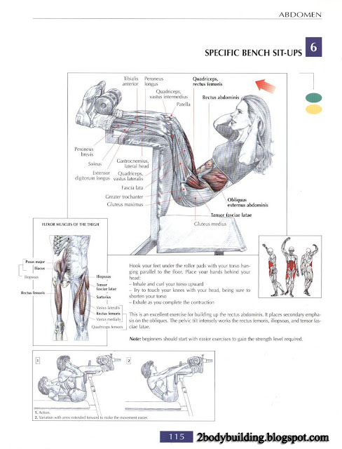 أهم تمارين لشد وتقوية عضلات البطن  Abdominal+115