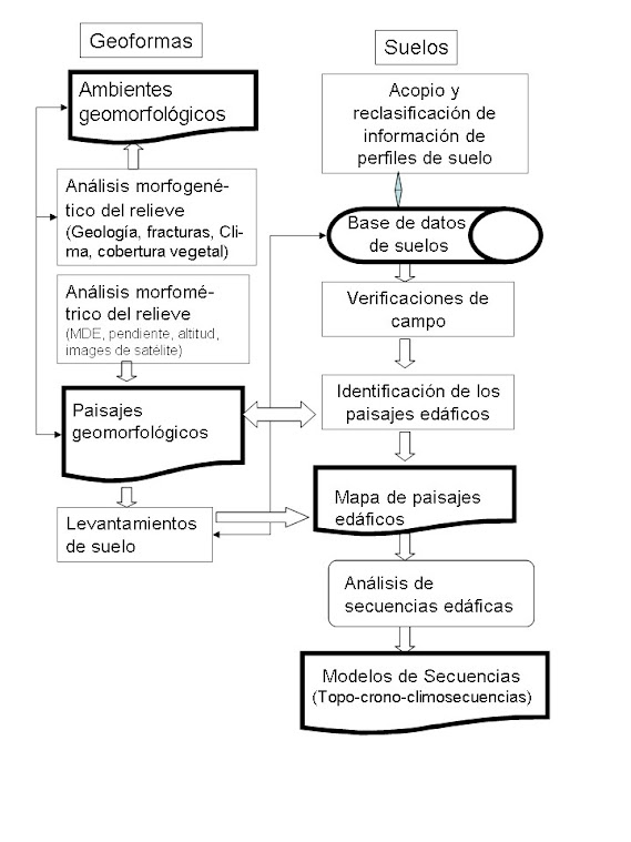 Metodología