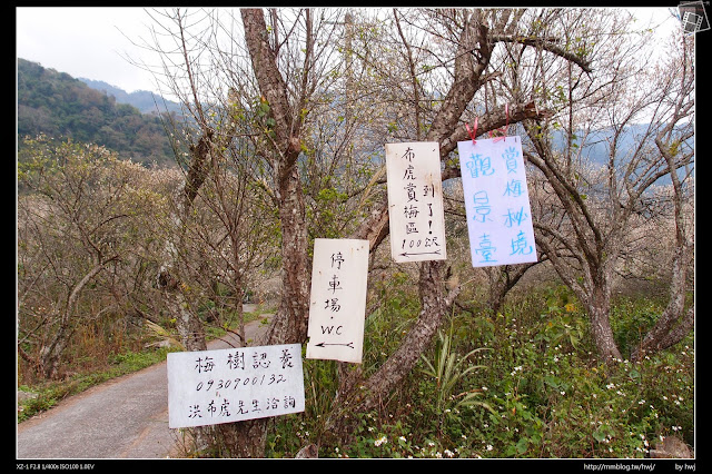 2015-01-10南投國姓-互助國小-西伯梅林-布虎梅區