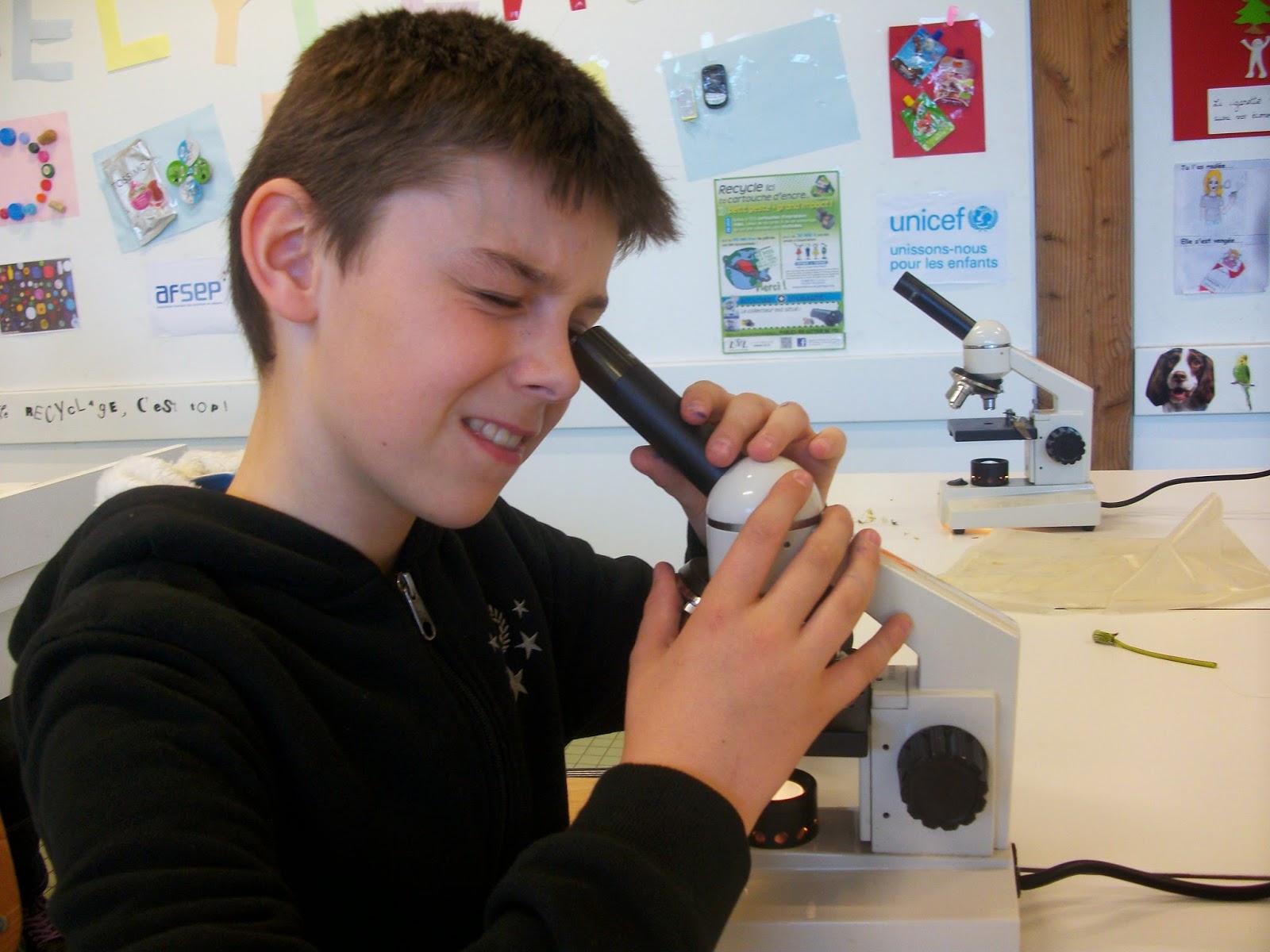 LE MICROSCOPE DU COLLÈGE WEILER (et la loupe monoculaire)