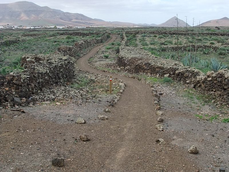 Travel Lago Martianez Tenerife Tipps Lookslikeperfect Net