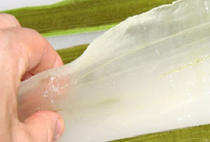 Gel separated from Aloe vera skin