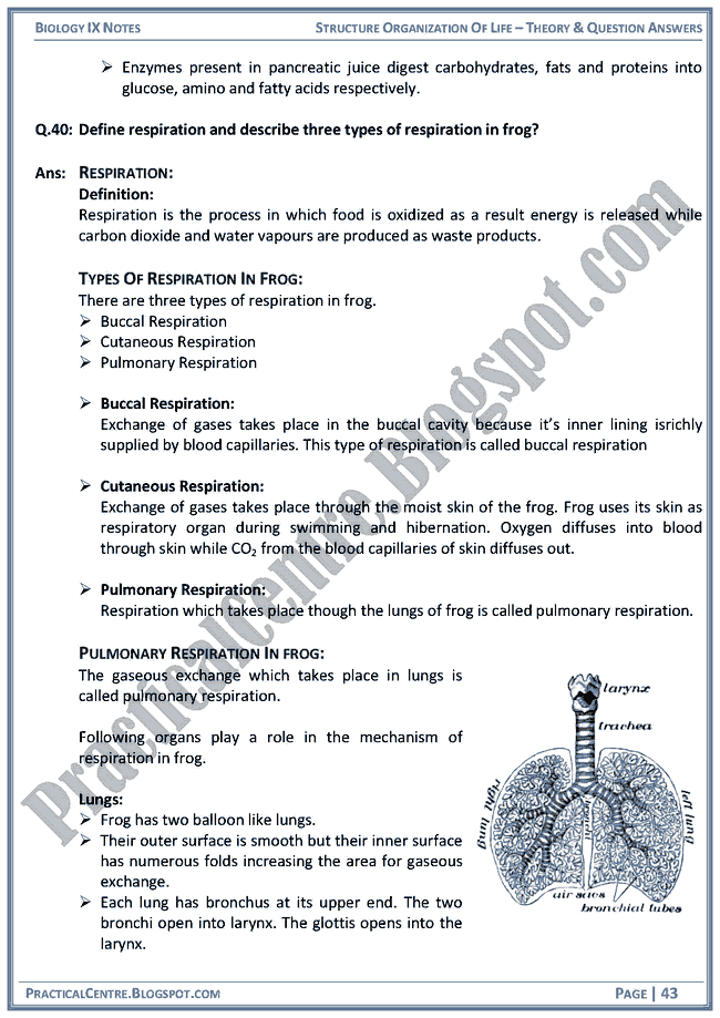 structural-organization-of-life-theory-and-question-answers-biology-ix