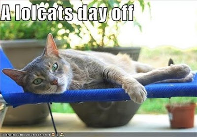lolcat day off