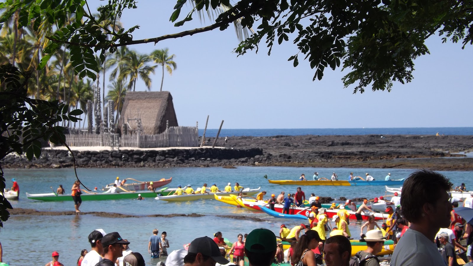 Donnelly Oceantics KONA CANOE RACE 9/1/12