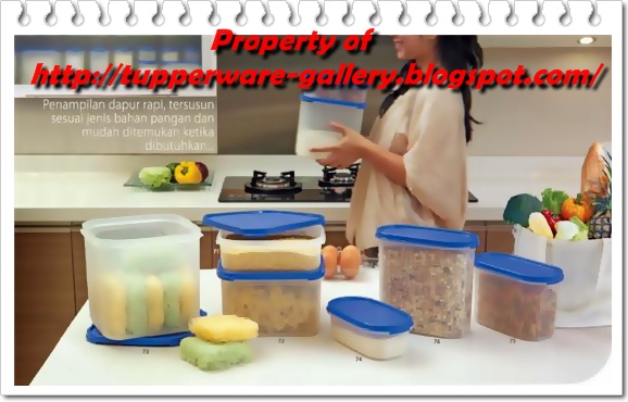 Tupperware - Kitchen Organizer
