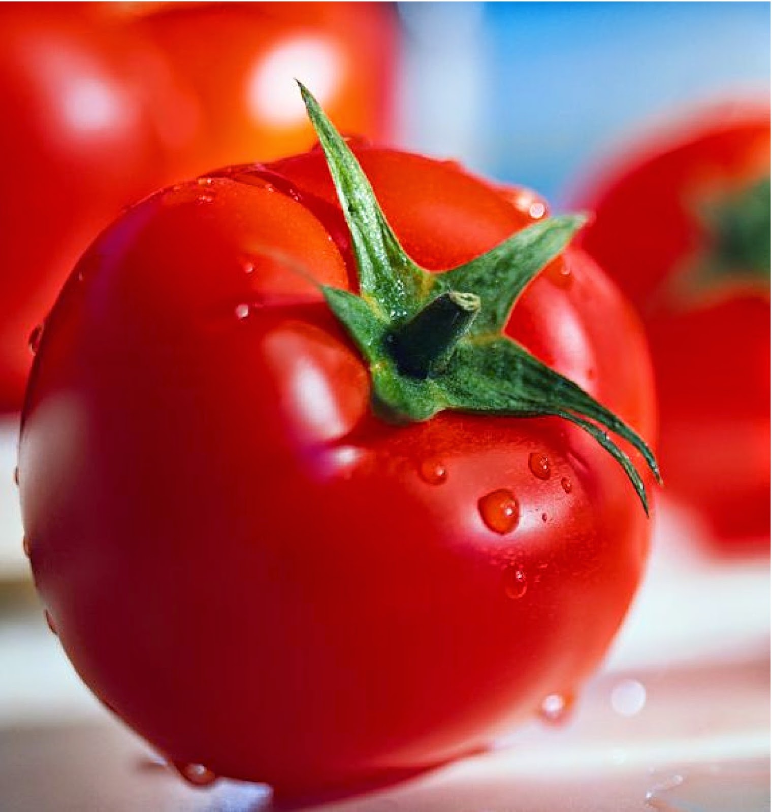 Image result for gambar tomat, anggur merah, jeruk bali