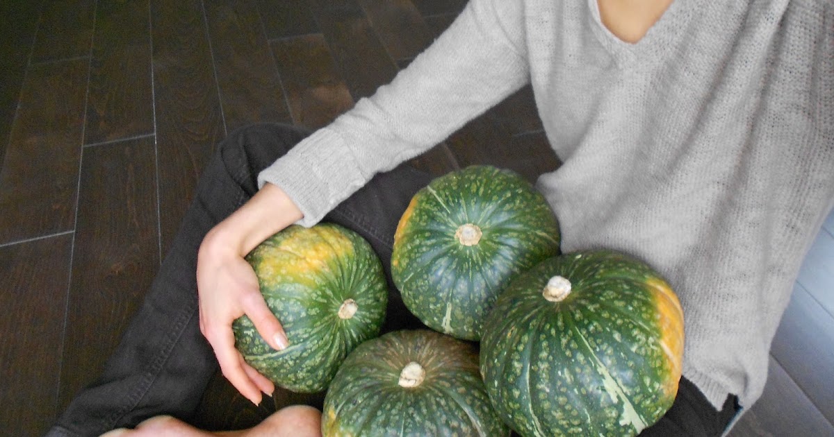 Snacking Squirrel Restocking My Squash Supply