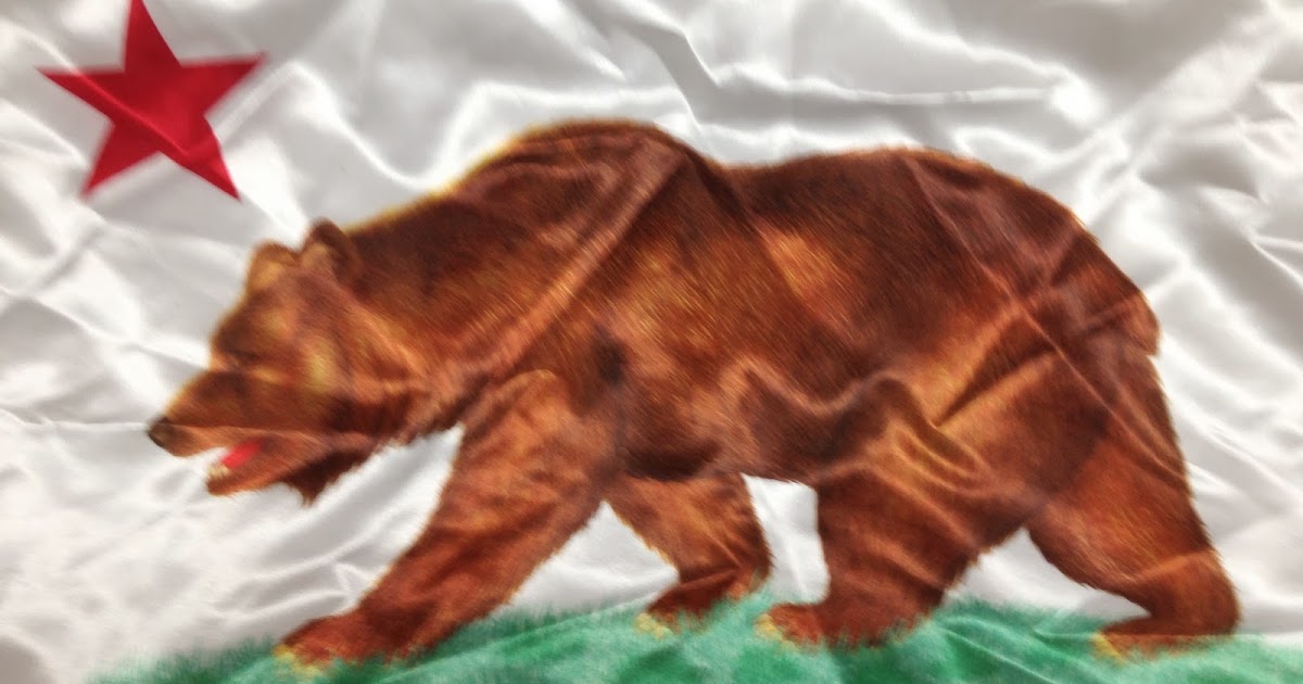Bear Flag Museum California Bear Flag Jacket by Kim Baker Design