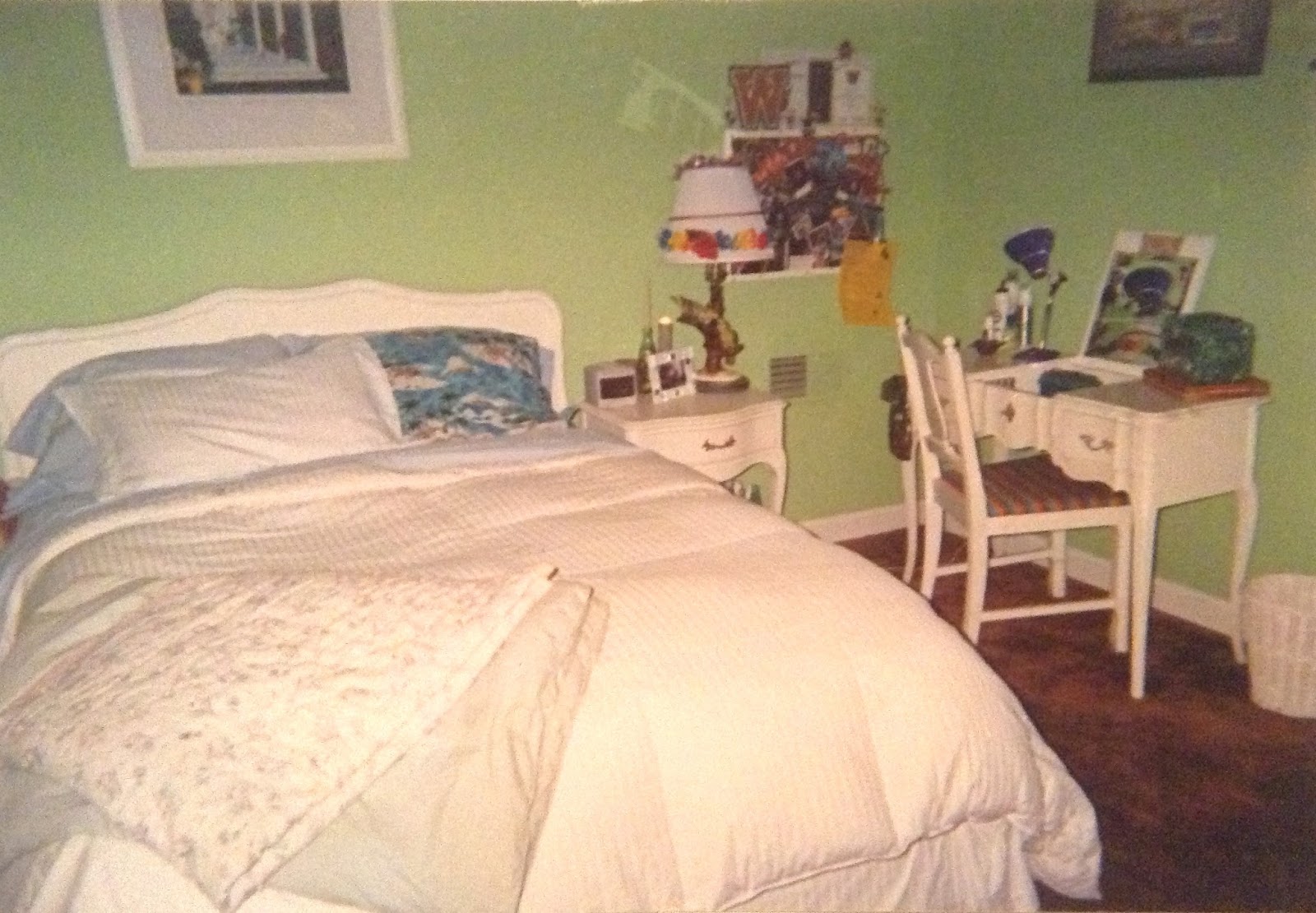 Mod Bazaar Lime Green Walls And Shaggy Brown Carpet