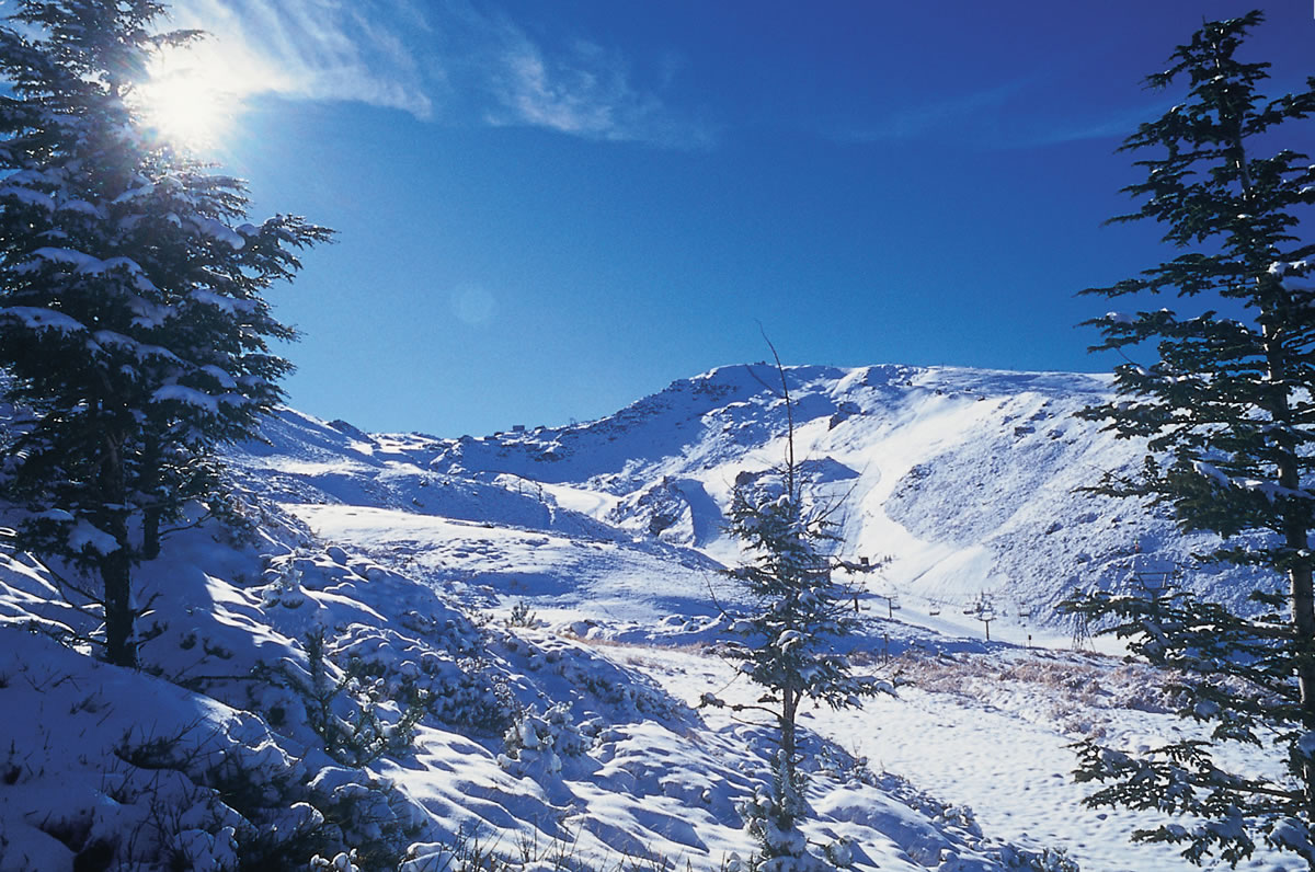 Foto de Puerto de La Ragua 2041m en Nevada, Granada