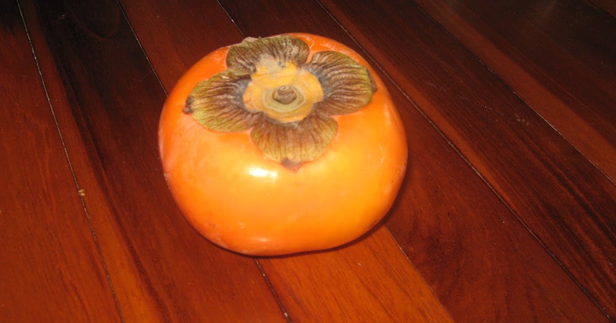 Garden Guy Hawaii Growing Persimmons in Hawaii