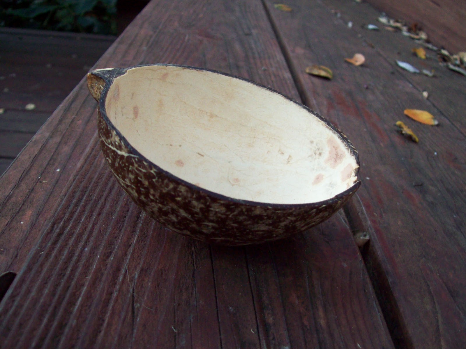 Absolutely No Idea What I am Doing! Coconut Bowls update