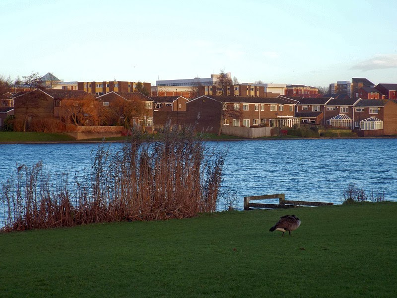 Photographs Of Newcastle Killingworth Lake