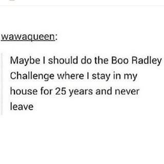 Wayfarer Konyvkalauza Harper Lee Ne Bantsatok A Feketerigot