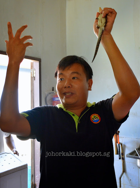 Long Kuan Hung Crocodile Farm 农光行鳄鱼场 Singapore Long-Kuan-Hung-Crocodile-Farm-农光行鳄鱼场-Singapore