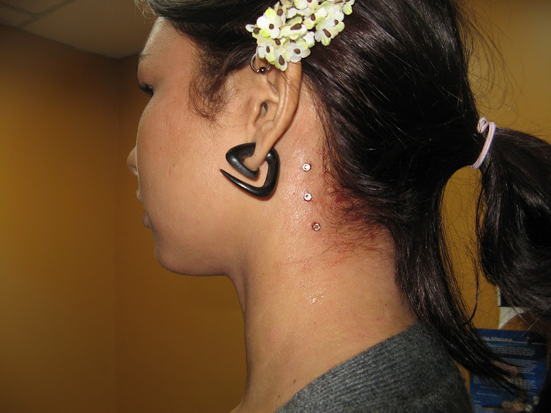 piercings by laura barrett the arthouse inc piercings by laura title=