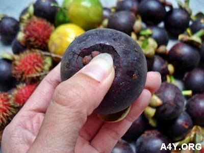 Cách lột vỏ măng cụt Cách lột vỏ măng cụt