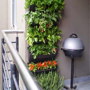 Balcony Decorating ideas Small backyard balcony; small backyard designs; small backyard ideas; vertical garden; bakcyard balcony plants; balcony plants full sun; balcony gardening; balcony flowers; balcony landscaping; terrace plants; balcony gardening ideas; balcony gardening designs; backyard balcony gardening; backyard balcony flowers; backyard balcony landscaping; backyard landscaping; backyard landscaping ideas; backyard designs ideas; backyard home decor; exterior home decoarting ideas; balcony decoarting ideas; exterior home decor; exterior home ideas