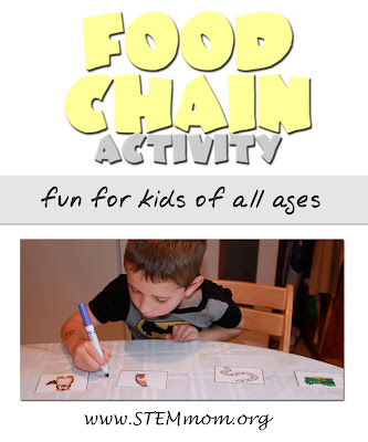 Food Chain Activity for kids: from STEMmom.org