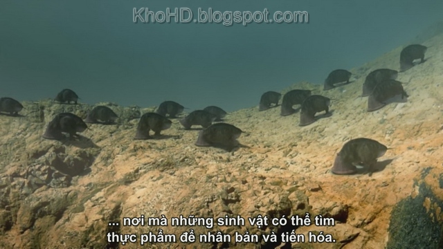 Stephen.Hawkings.Universe.EP01.Aliens.2010.720p.BluRay.AC3.x264-HDViE+-+KhoHD.blogspot.com%5B(016476)15-51-34%5D(1).JPG