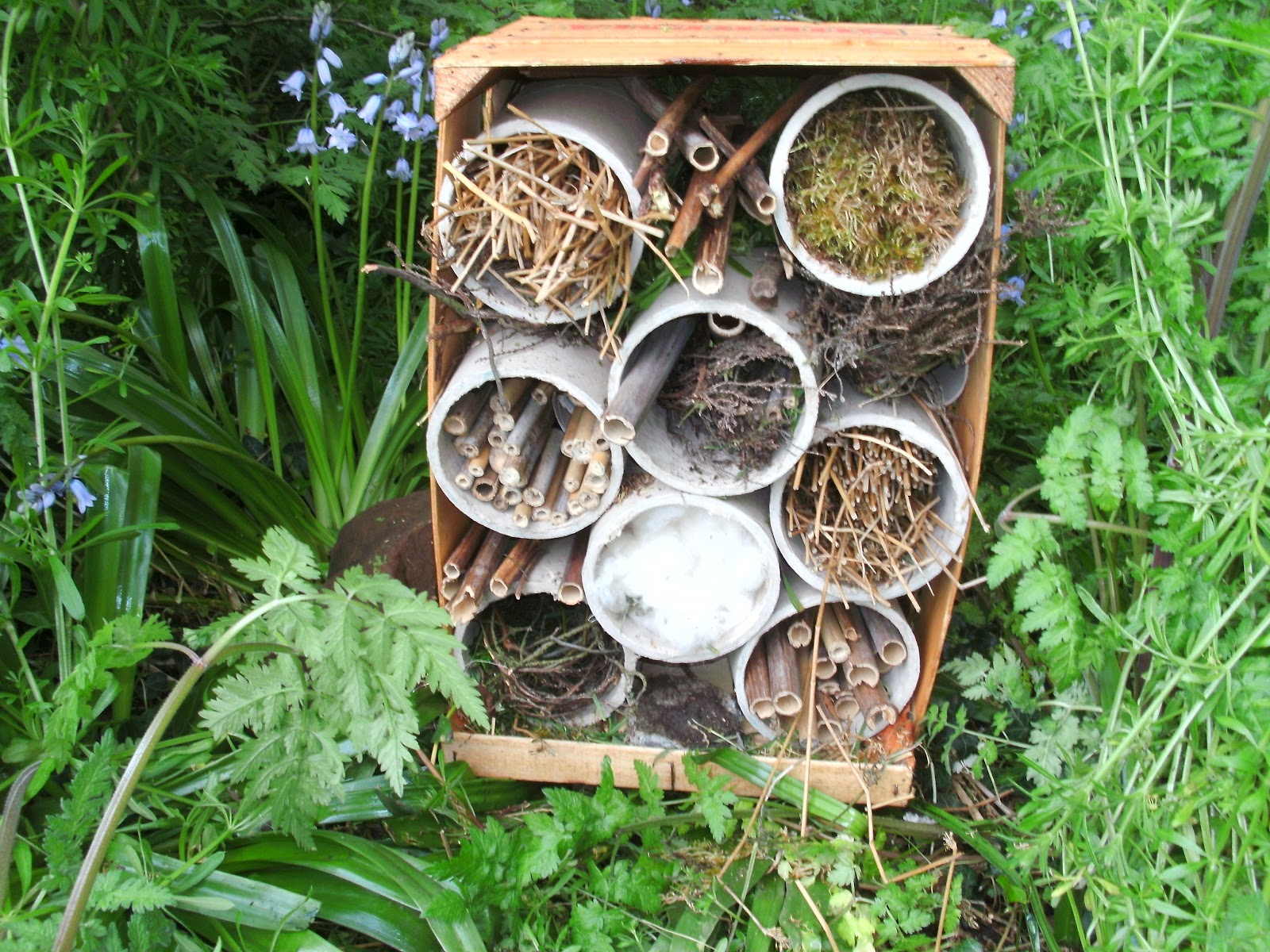 to the Nursery Class blog! Mini Beast Hotel