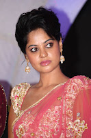 Actress, Bindhu, Madhavi, in, Pink, Saree, Photos