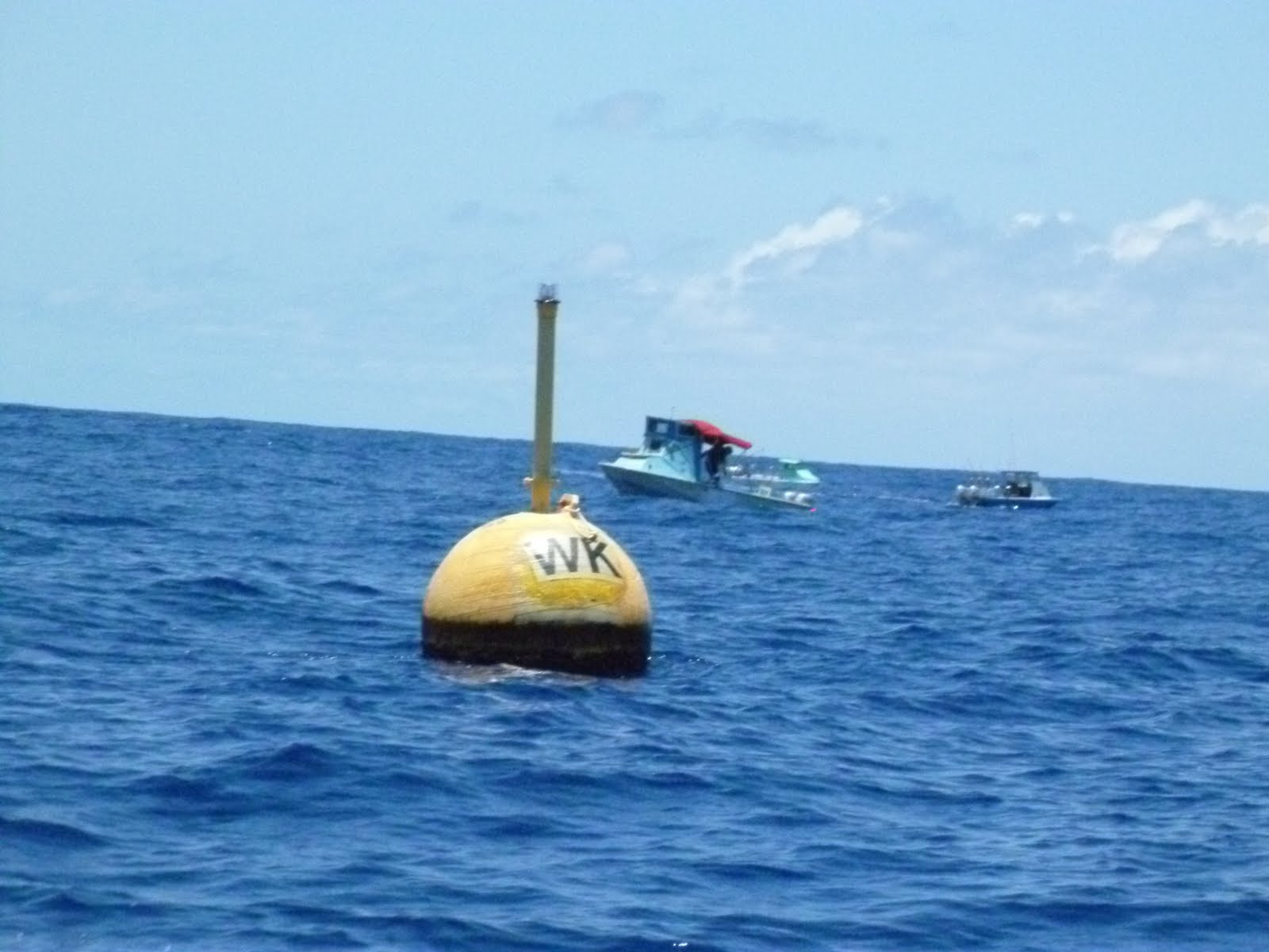 Hawaiian Odysseus JUST AROUND THE BUOY
