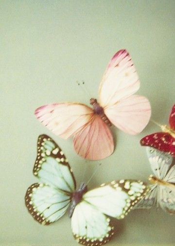 To check out my Pinterest for more cute craft ideas, click on this butterfly image! :D