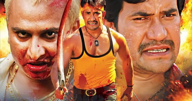 bhojpuri holi video 3gp download