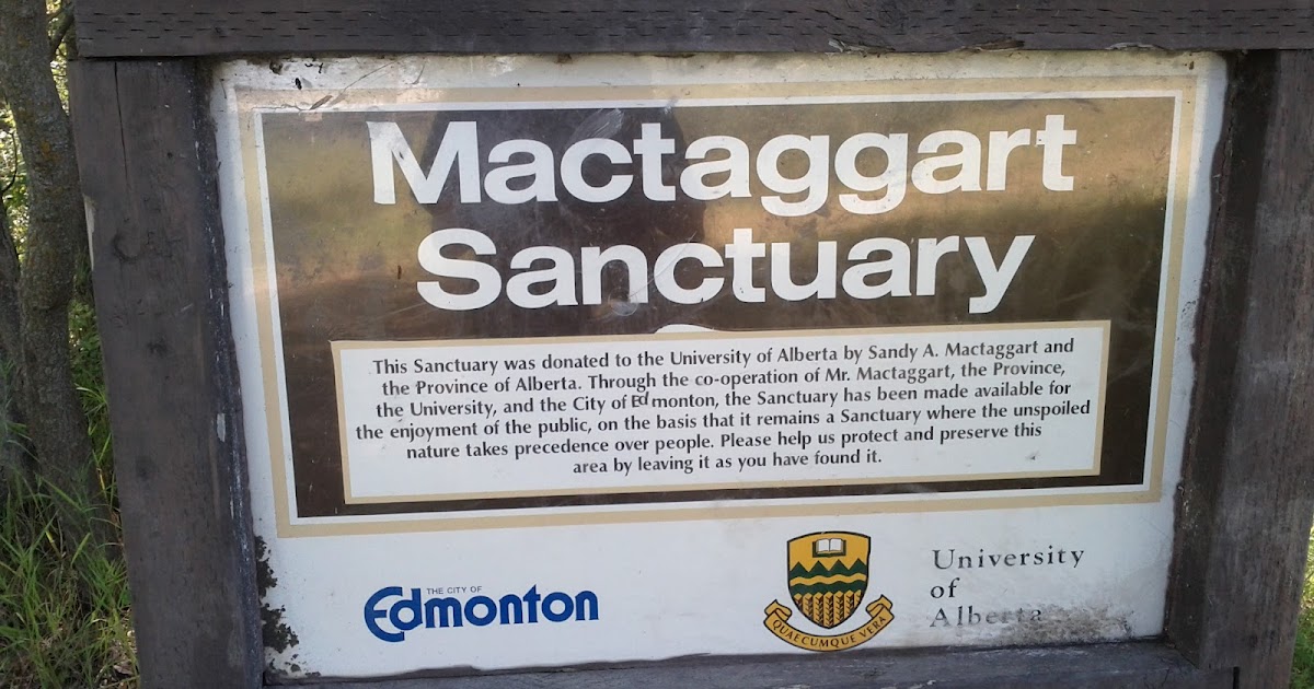 Family Fun Adventures in Edmonton Family Hike at Mactaggart Sanctuary