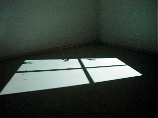 window