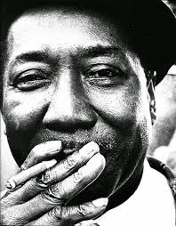 Muddy Waters