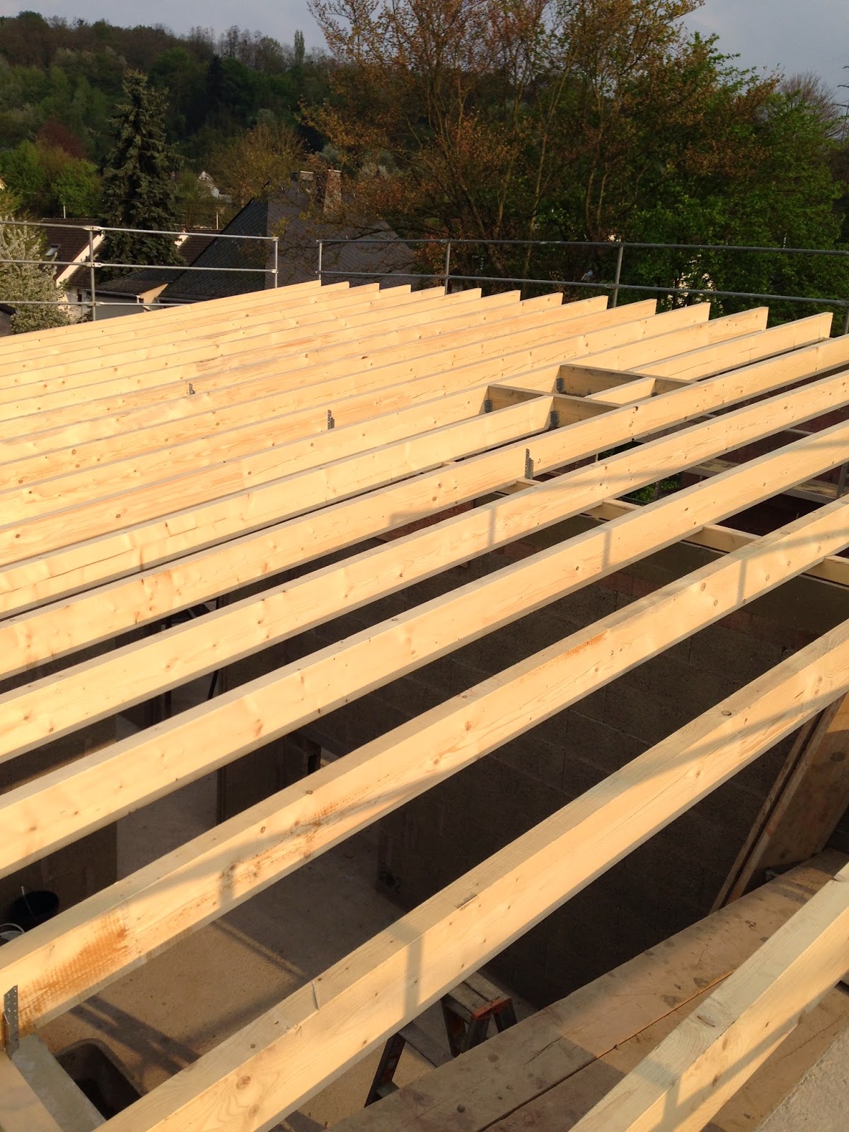 Bautagebuch Bauenimgarten