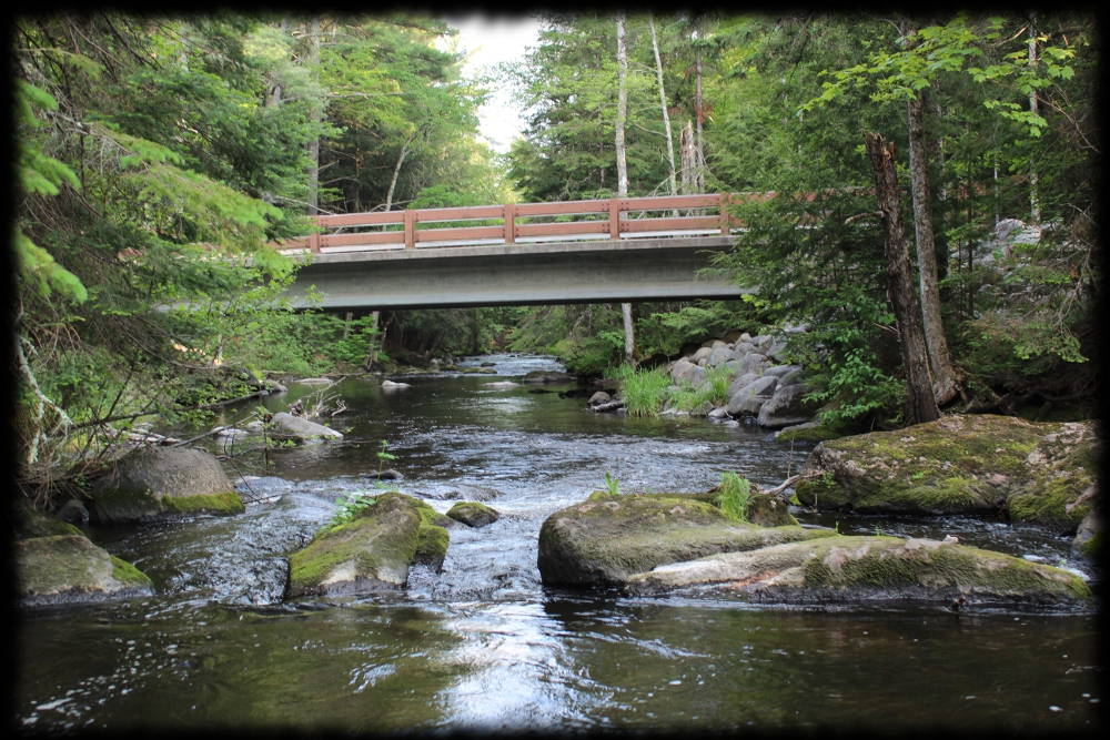 Illinois Wisconsin Fishing wisconsin's northwoods brook trout streams