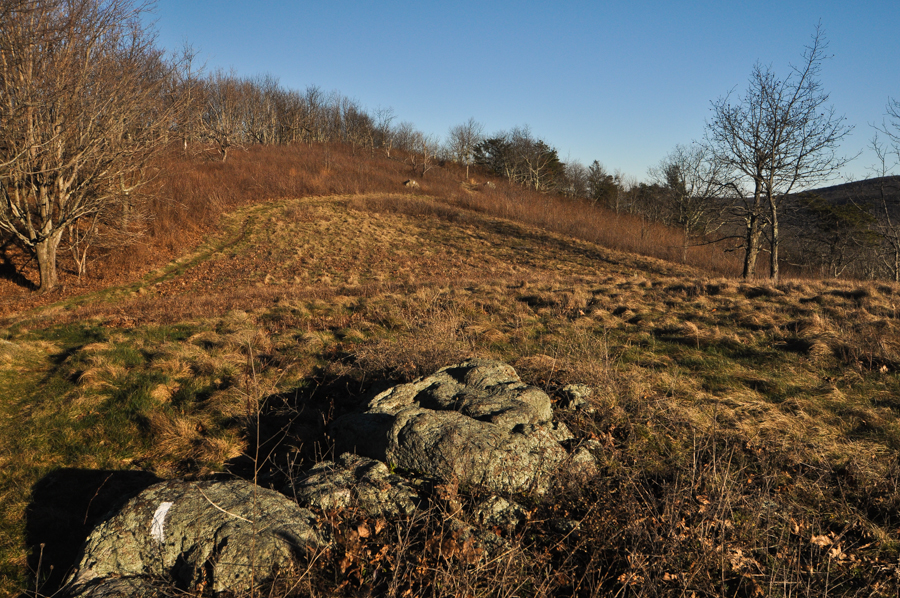 Tar Jacket Ridge