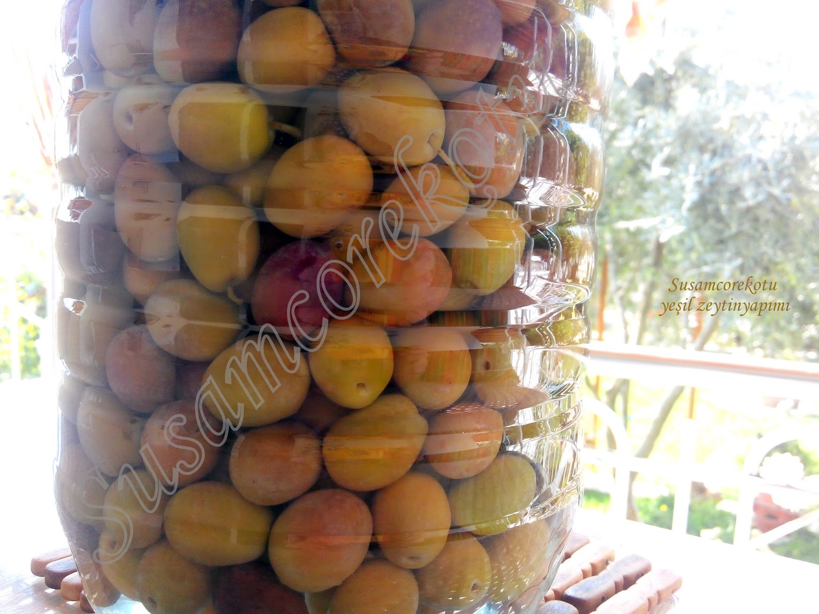 Evde Siyah Zeytin Nasıl Yapılır Evde Siyah Zeytin Nasıl Yapılır