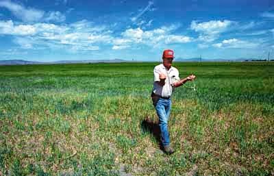 Ραβδοσκόπος επί τω έργω