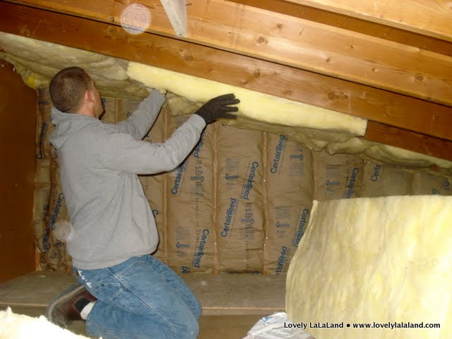 Lovely Lalaland Insulating The Garage