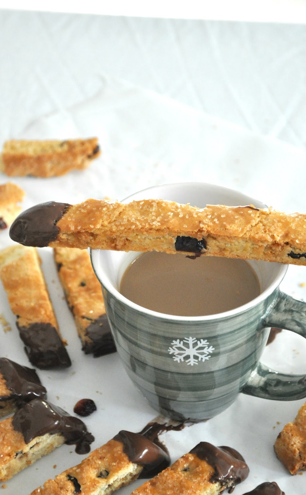 {how to make} quick and easy homemade biscotti w/ cranberries + white