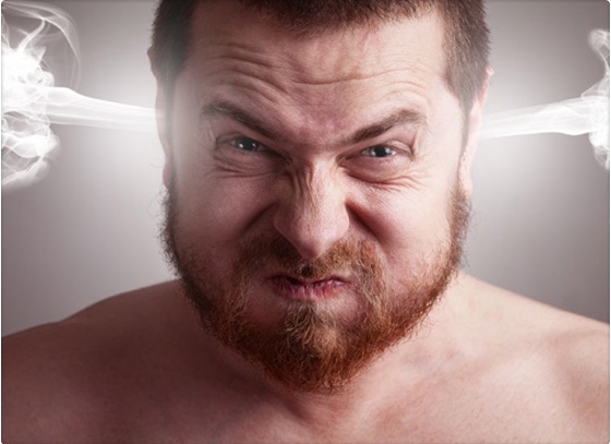 adaptacion de conducta